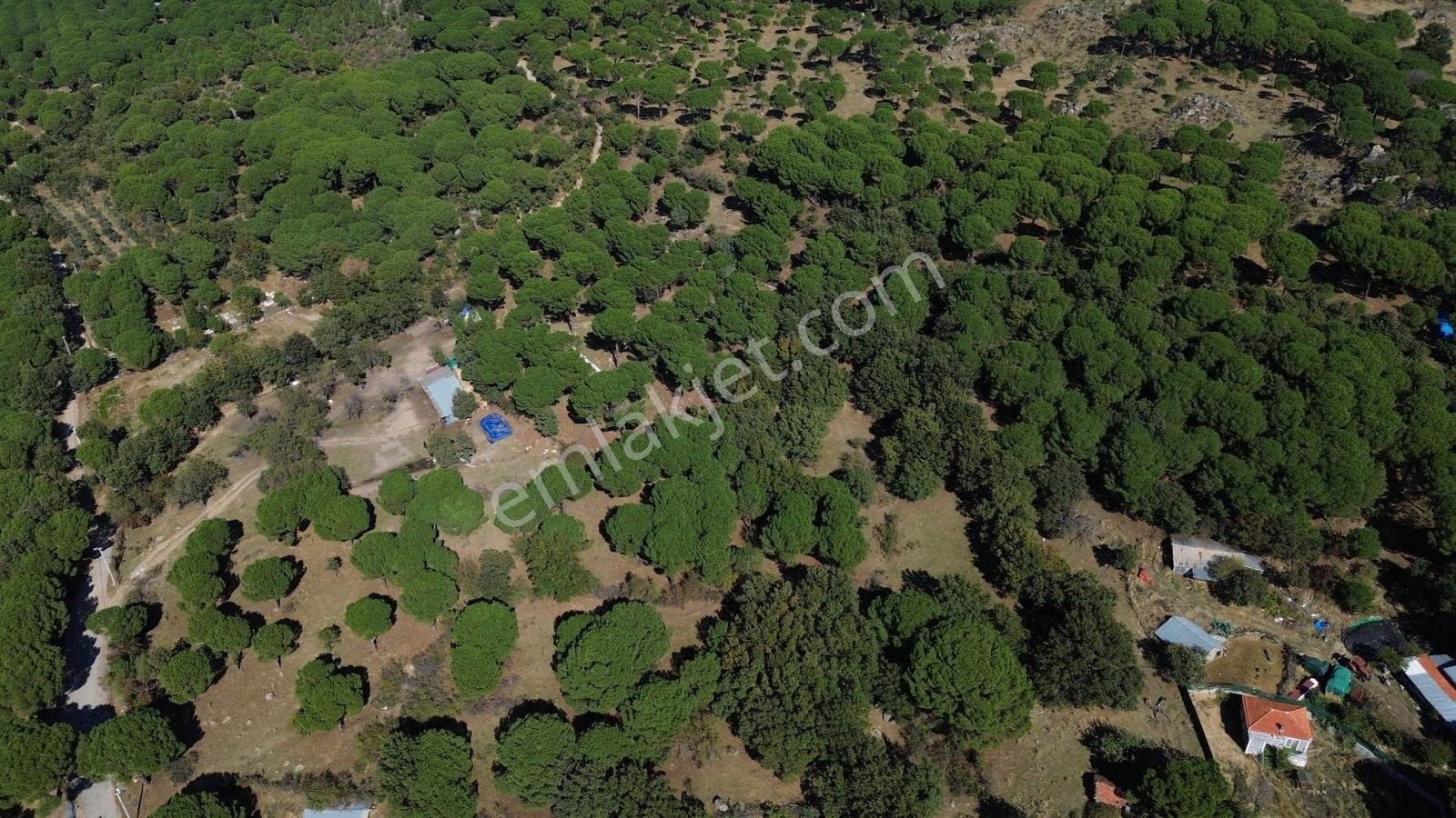 Bergama Kozak Yaylası Kıranlı Mah. Toplam 10.190m2 Satılık Tarla — fotoğraf 20