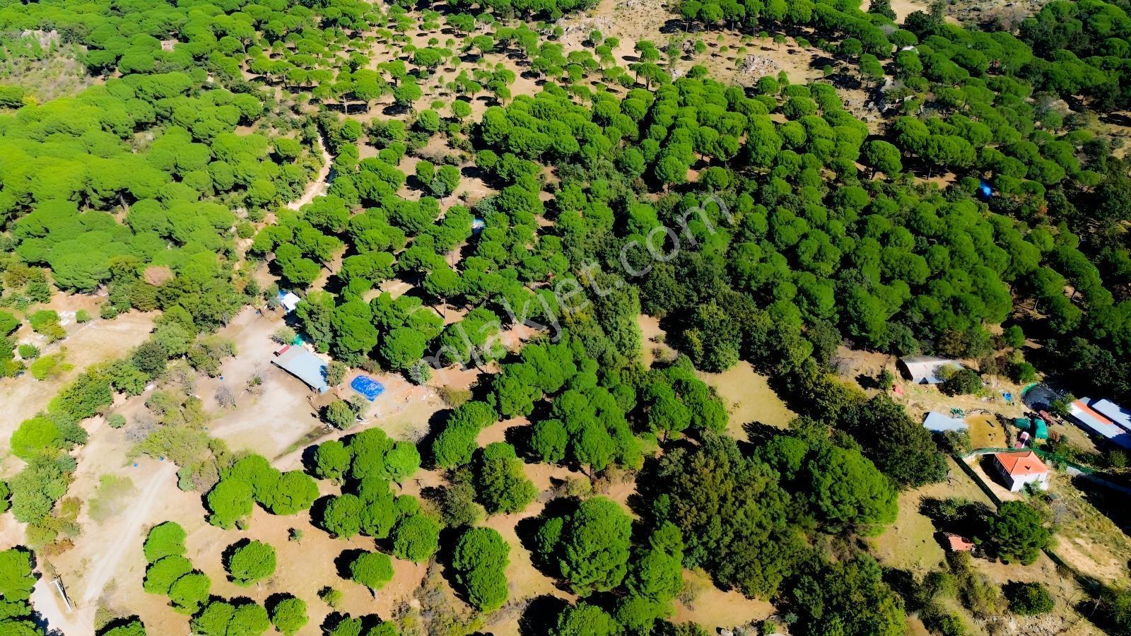 Bergama Kozak Yaylası Kıranlı Mah. Toplam 10.190m2 Satılık Tarla — fotoğraf 21