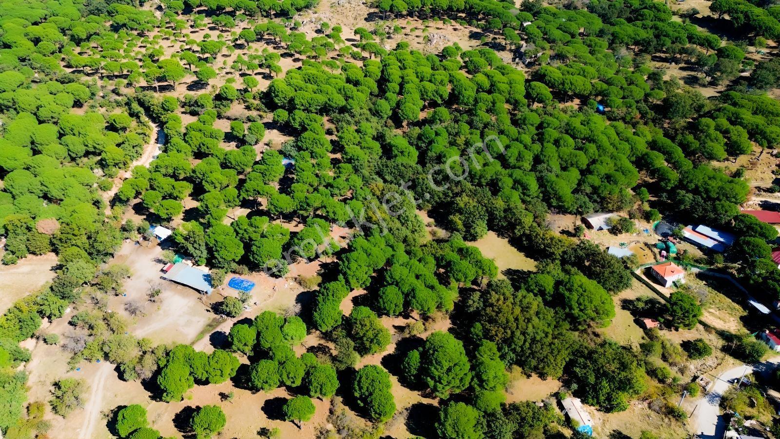 Bergama Kozak Yaylası Kıranlı Mah. Toplam 10.190m2 Satılık Tarla — fotoğraf 22