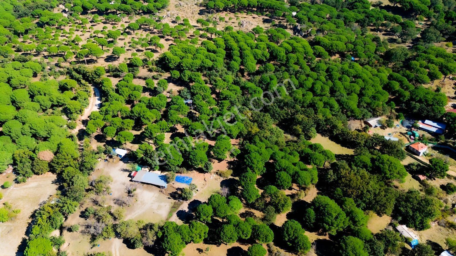 Bergama Kozak Yaylası Kıranlı Mah. Toplam 10.190m2 Satılık Tarla — fotoğraf 23