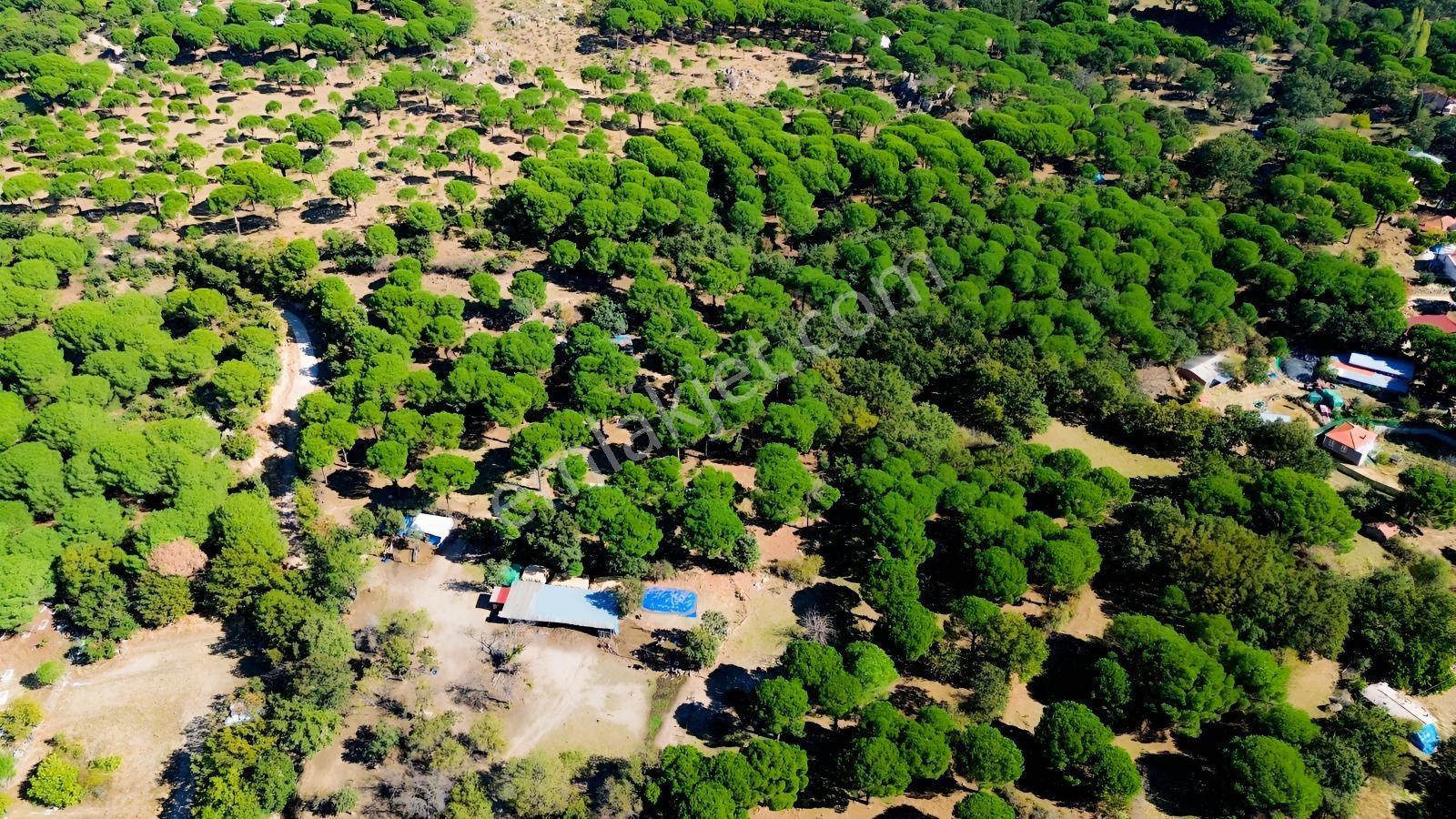 Bergama Kozak Yaylası Kıranlı Mah. Toplam 10.190m2 Satılık Tarla — fotoğraf 24