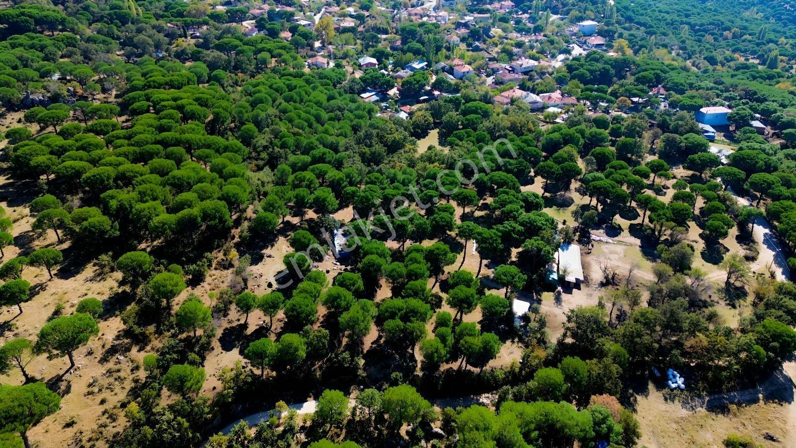 Bergama Kozak Yaylası Kıranlı Mah. Toplam 10.190m2 Satılık Tarla — fotoğraf 26