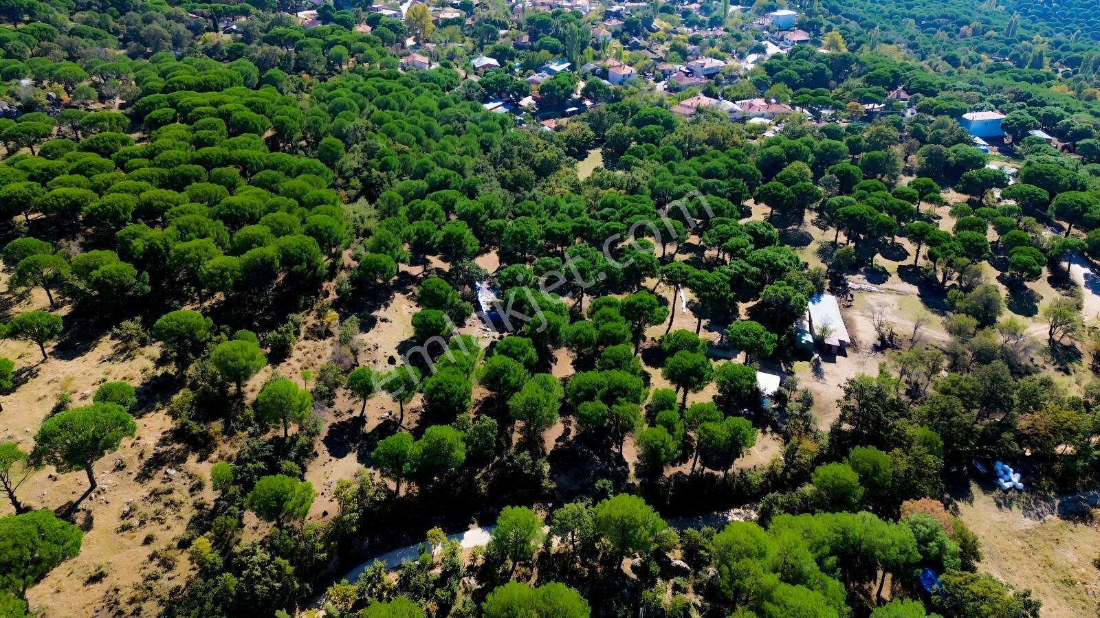 Bergama Kozak Yaylası Kıranlı Mah. Toplam 10.190m2 Satılık Tarla — fotoğraf 27