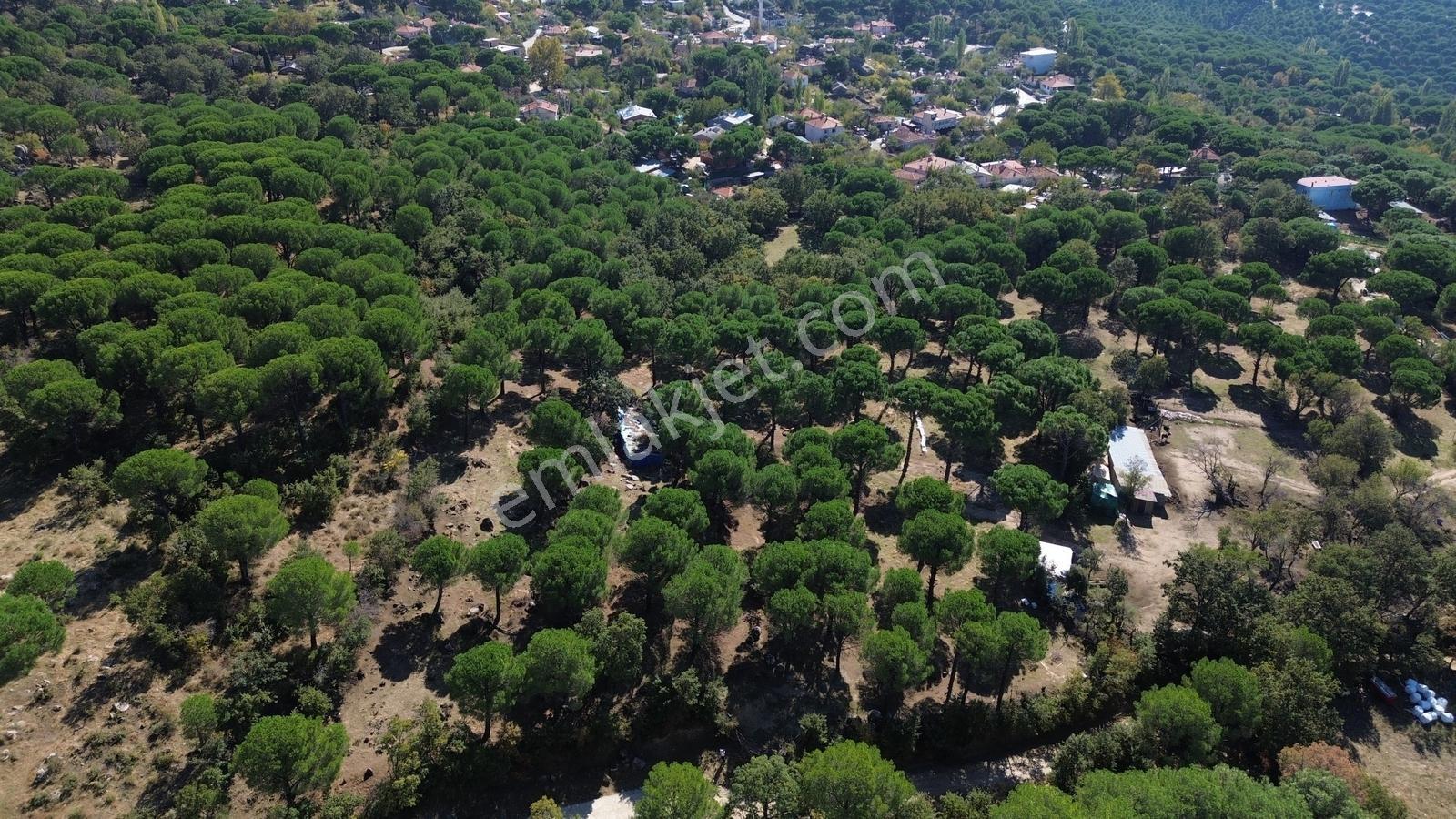 Bergama Kozak Yaylası Kıranlı Mah. Toplam 10.190m2 Satılık Tarla — fotoğraf 28