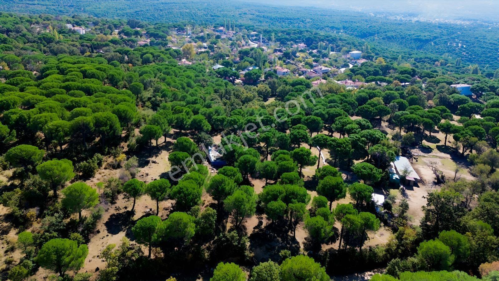 Bergama Kozak Yaylası Kıranlı Mah. Toplam 10.190m2 Satılık Tarla — fotoğraf 29