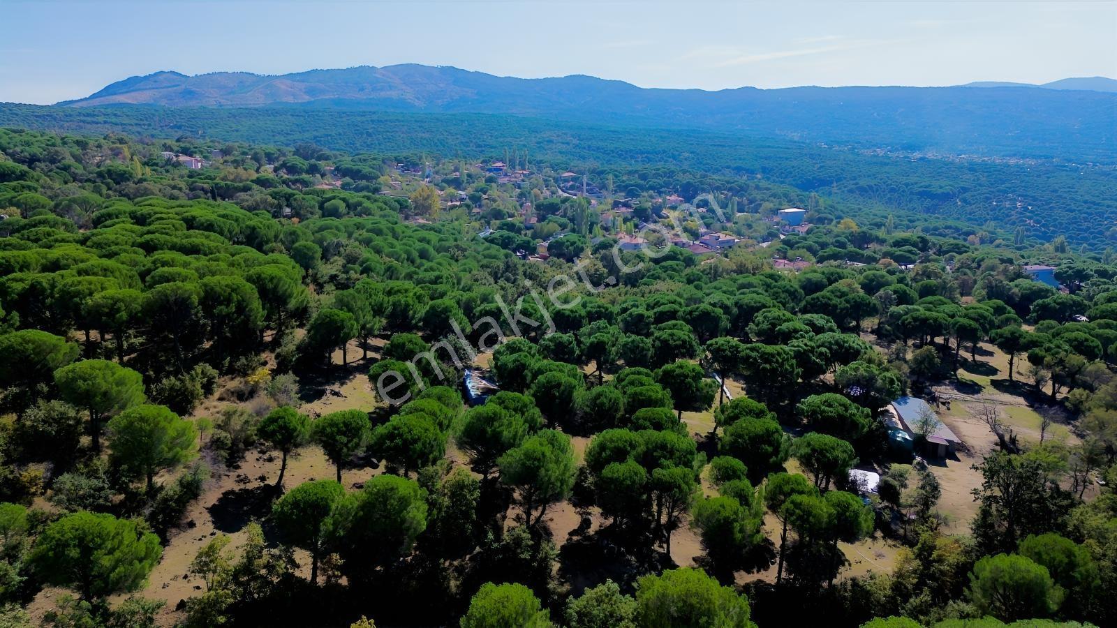 Bergama Kozak Yaylası Kıranlı Mah. Toplam 10.190m2 Satılık Tarla — fotoğraf 30