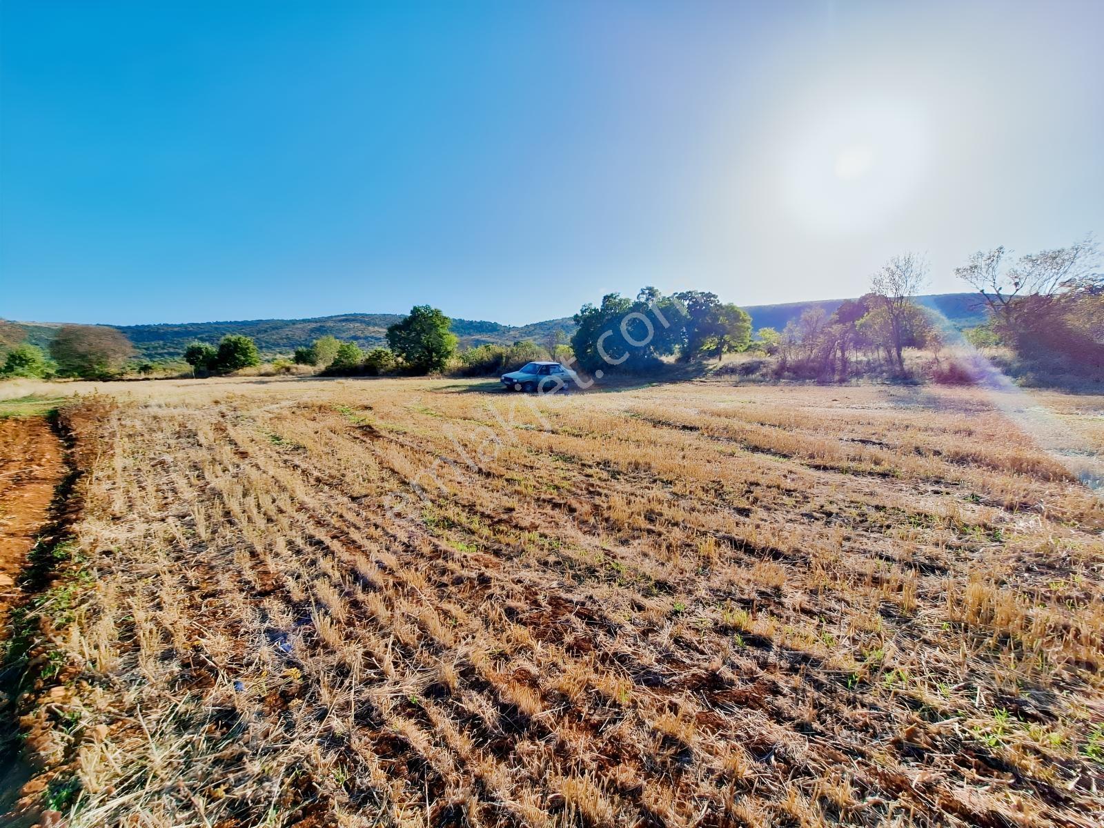 Kırmızı Verimli Toprak :) — fotoğraf 6