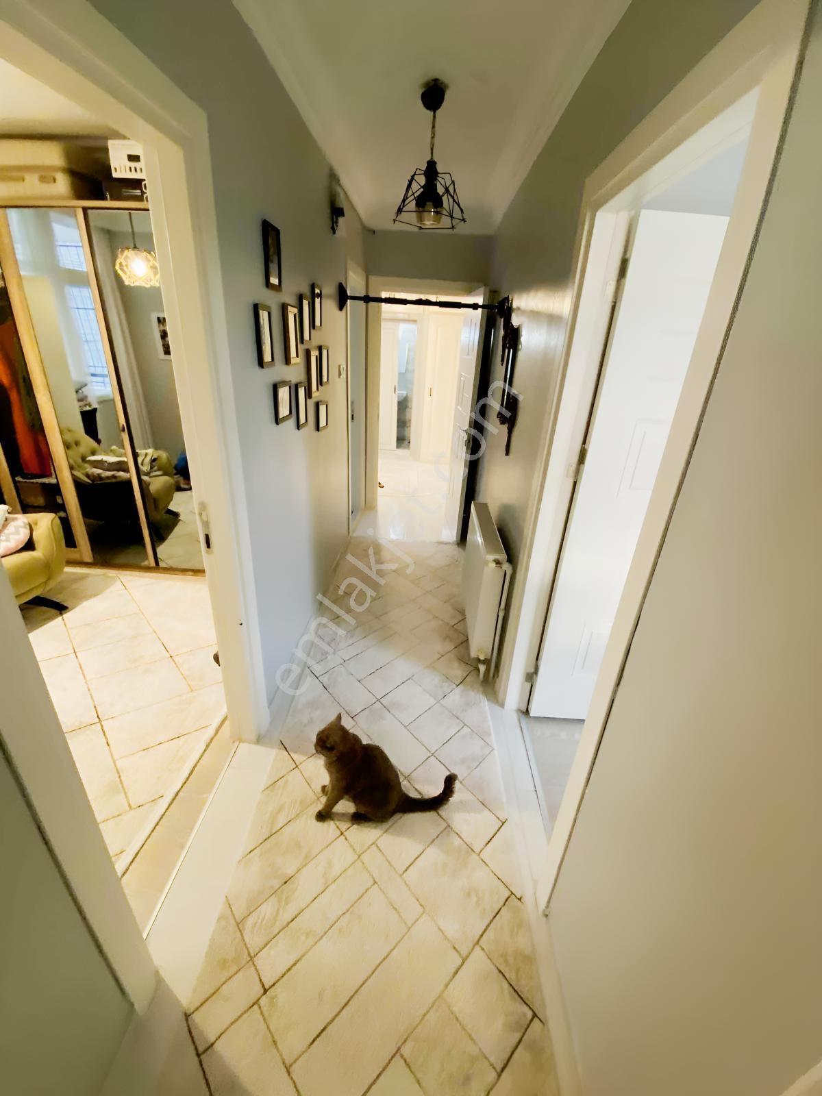 İz'den Mükemmel Konumda 3+1 Alternatifsiz Cazip Daire — fotoğraf 18