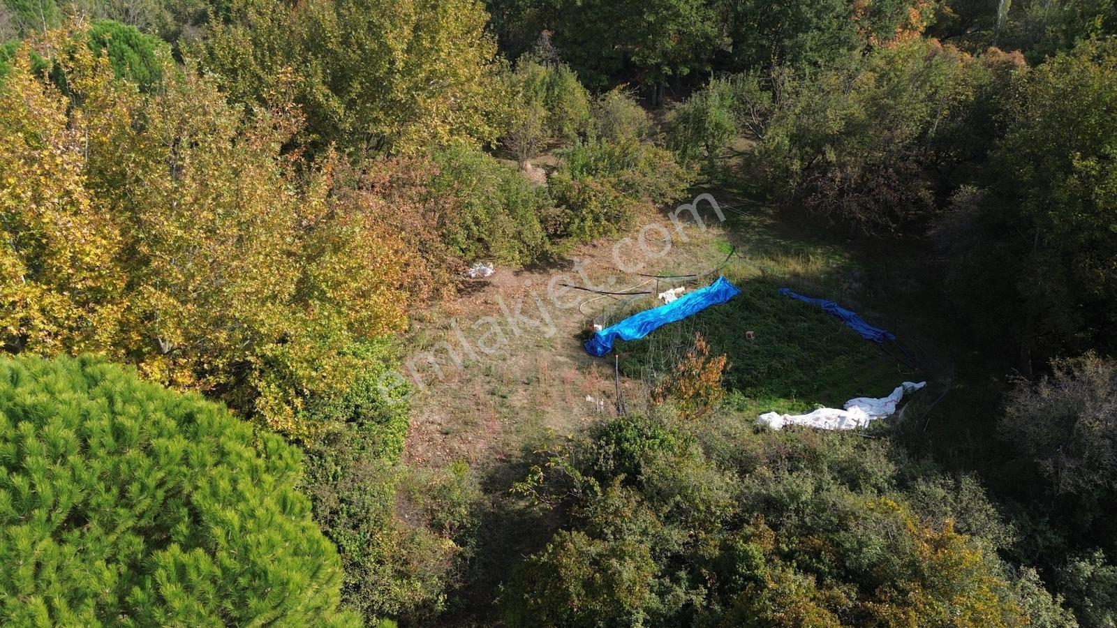 Bergama Kozak Yaylası Kıranlı Mah.'De 3.795M2 Satılık Tarla