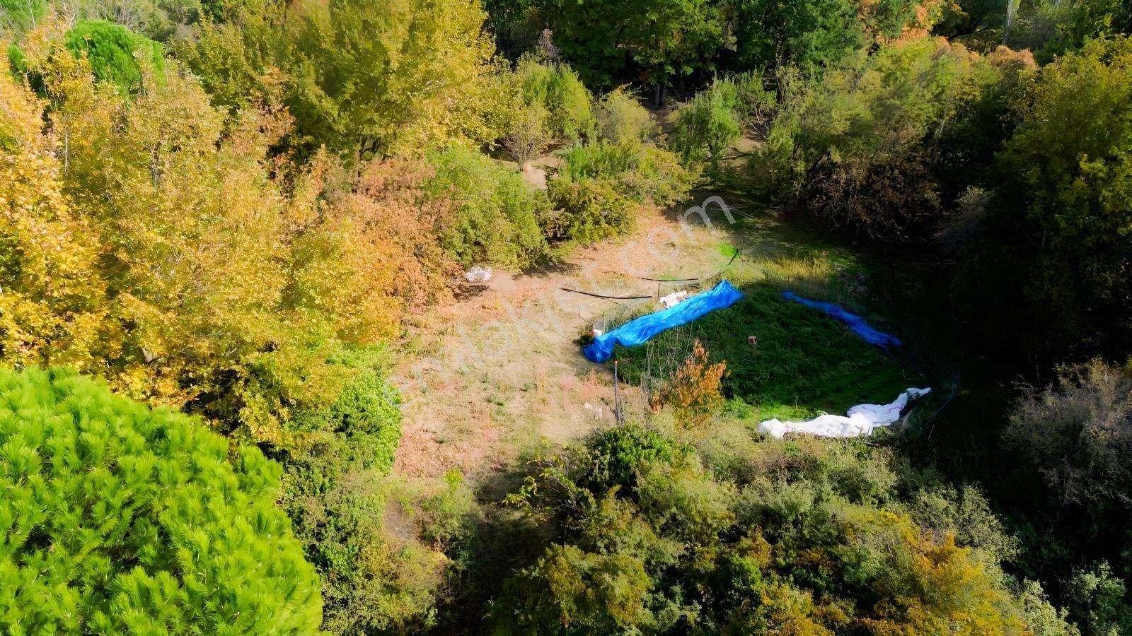 Bergama Kozak Yaylası Kıranlı Mah.'de 3.795m2 Satılık Tarla — fotoğraf 2