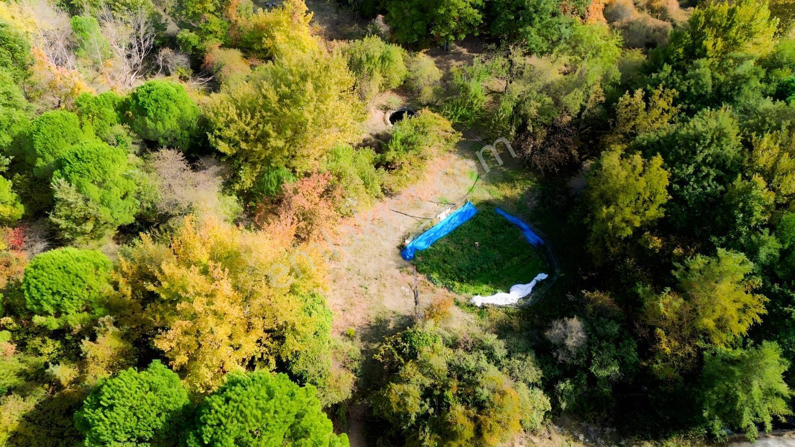 Bergama Kozak Yaylası Kıranlı Mah.'de 3.795m2 Satılık Tarla — fotoğraf 3