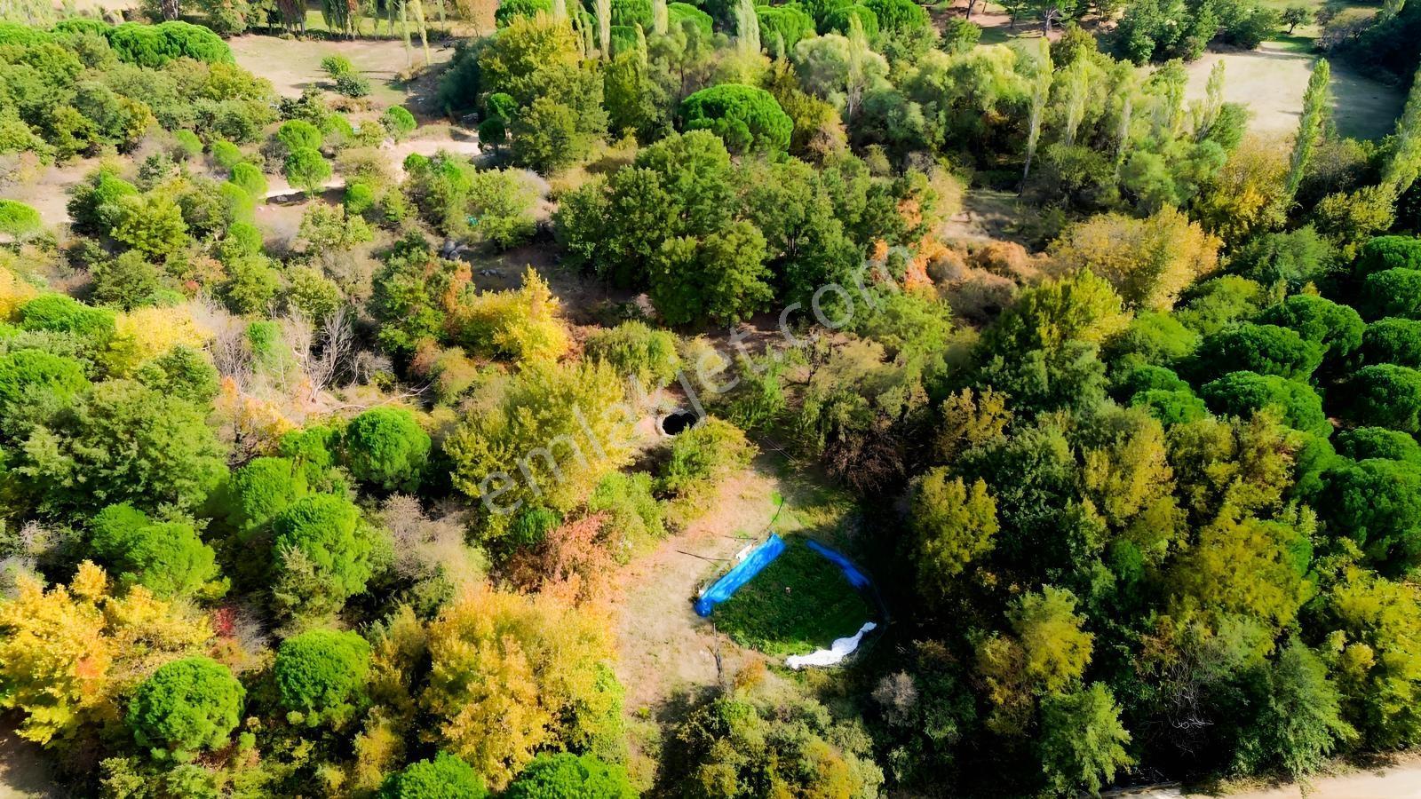 Bergama Kozak Yaylası Kıranlı Mah.'de 3.795m2 Satılık Tarla — fotoğraf 4