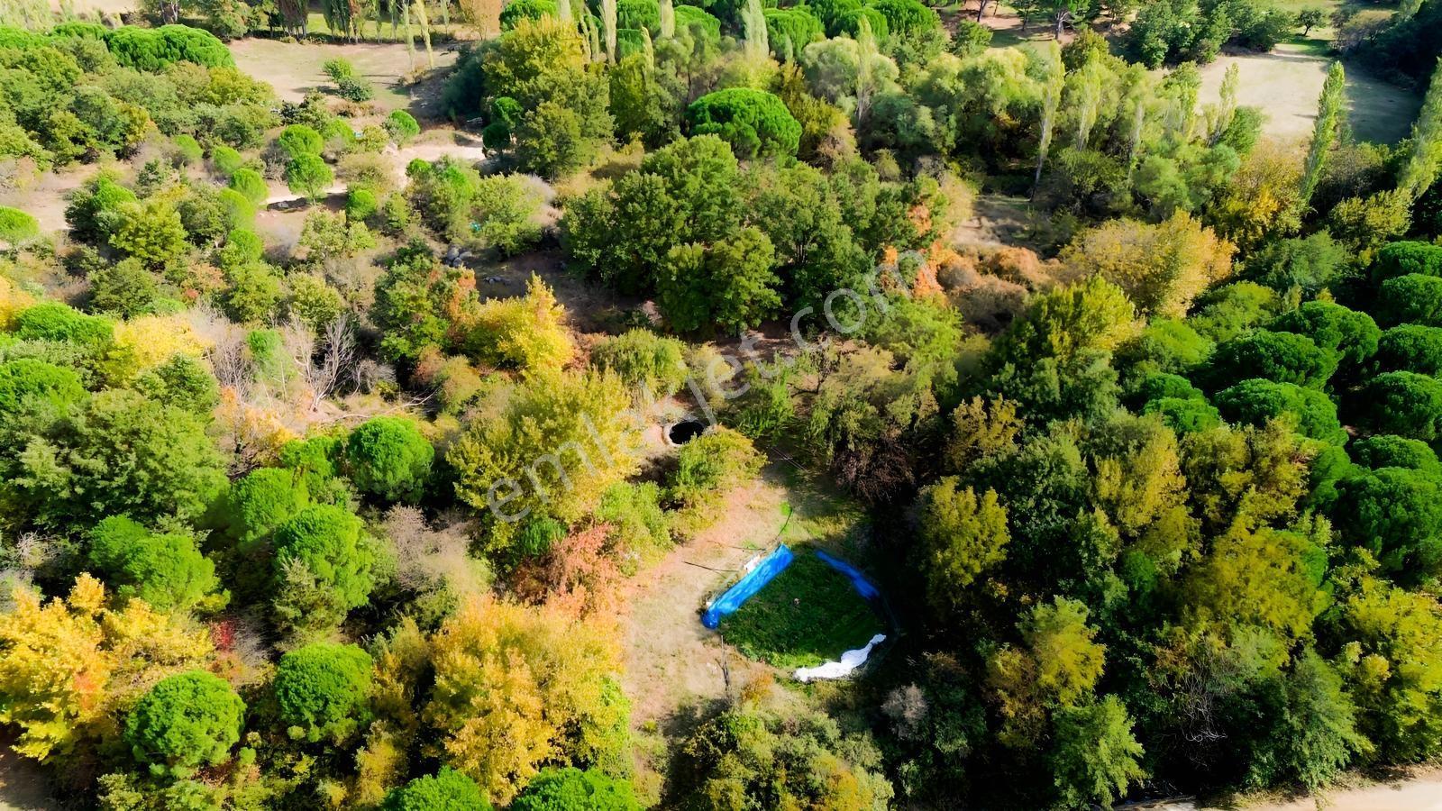 Bergama Kozak Yaylası Kıranlı Mah.'de 3.795m2 Satılık Tarla — fotoğraf 5