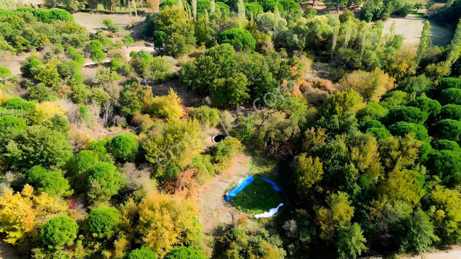 Bergama Kozak Yaylası Kıranlı Mah.'de 3.795m2 Satılık Tarla — fotoğraf 6