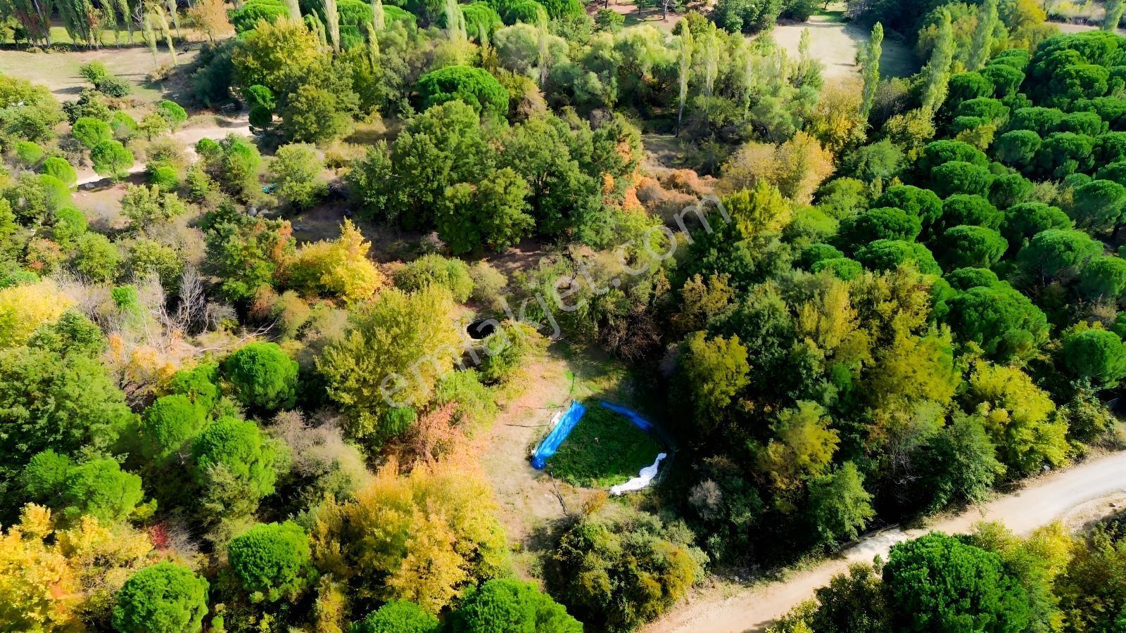 Bergama Kozak Yaylası Kıranlı Mah.'de 3.795m2 Satılık Tarla — fotoğraf 7
