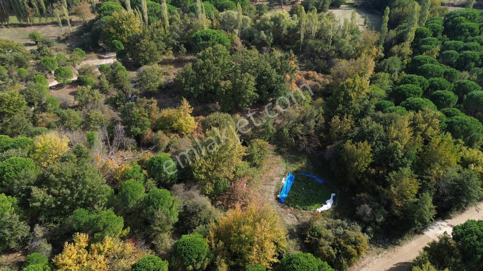Bergama Kozak Yaylası Kıranlı Mah.'de 3.795m2 Satılık Tarla — fotoğraf 8