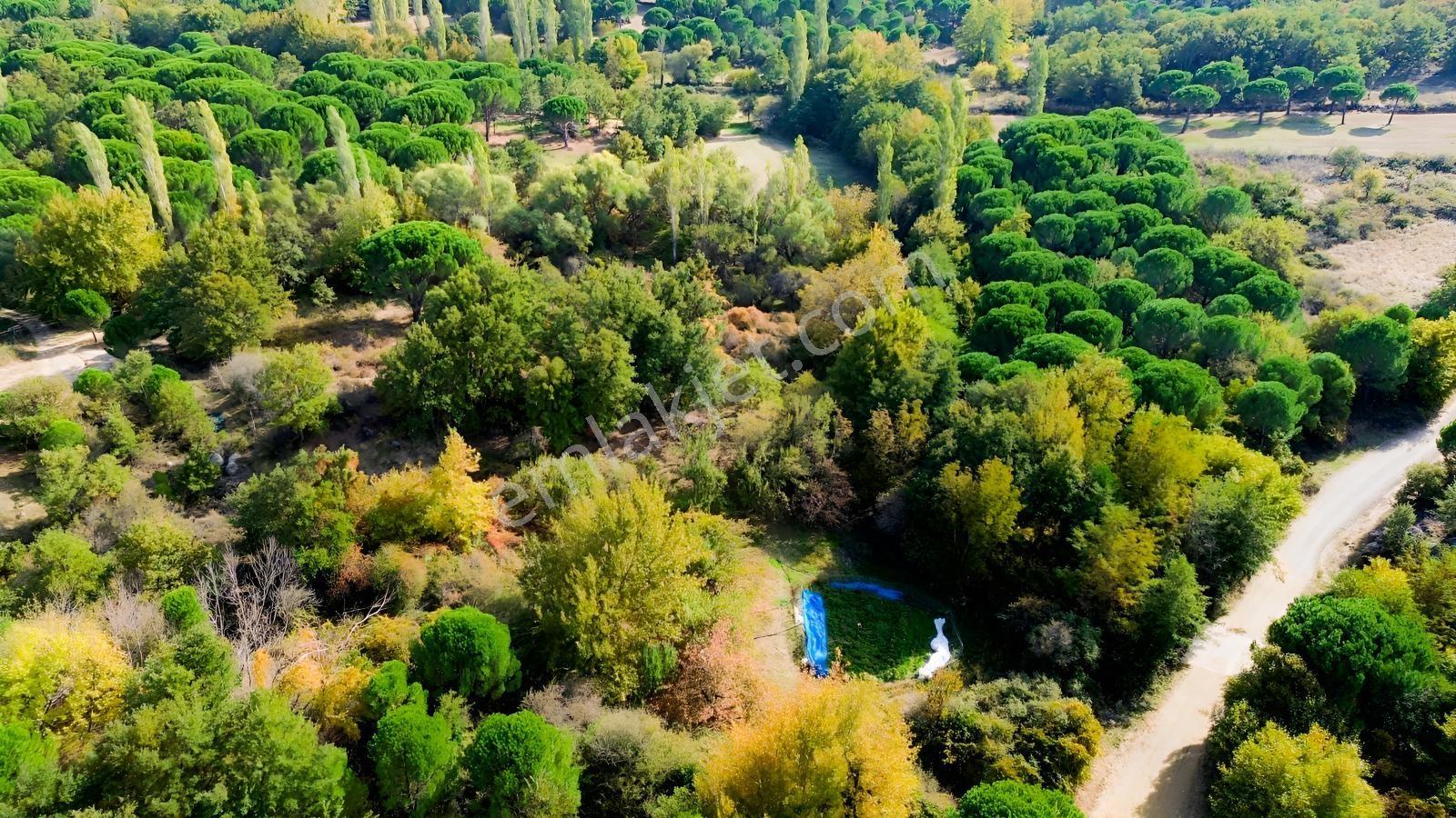 Bergama Kozak Yaylası Kıranlı Mah.'de 3.795m2 Satılık Tarla — fotoğraf 9