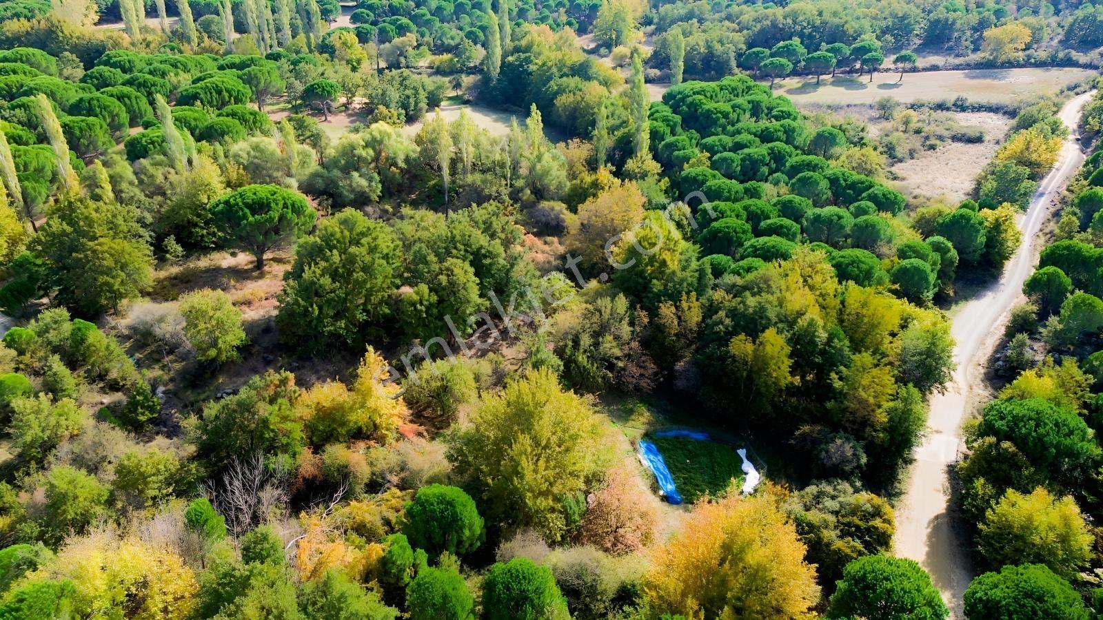 Bergama Kozak Yaylası Kıranlı Mah.'de 3.795m2 Satılık Tarla — fotoğraf 10