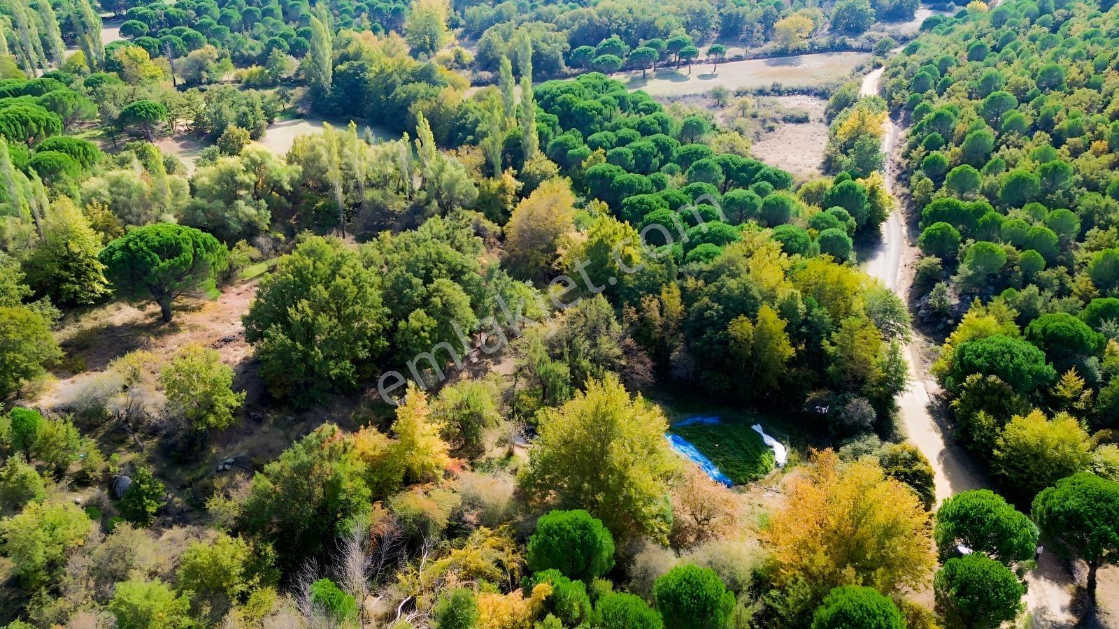 Bergama Kozak Yaylası Kıranlı Mah.'de 3.795m2 Satılık Tarla — fotoğraf 11