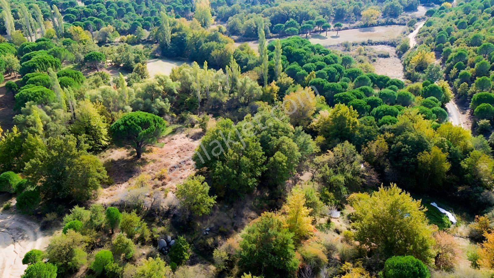Bergama Kozak Yaylası Kıranlı Mah.'de 3.795m2 Satılık Tarla — fotoğraf 12