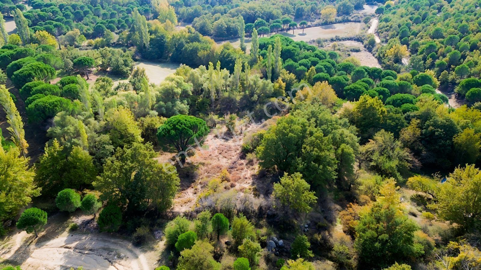Bergama Kozak Yaylası Kıranlı Mah.'de 3.795m2 Satılık Tarla — fotoğraf 13