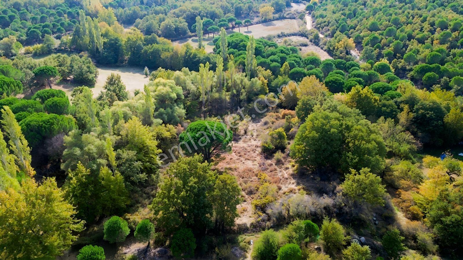 Bergama Kozak Yaylası Kıranlı Mah.'de 3.795m2 Satılık Tarla — fotoğraf 14