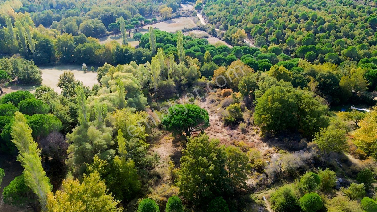 Bergama Kozak Yaylası Kıranlı Mah.'de 3.795m2 Satılık Tarla — fotoğraf 15