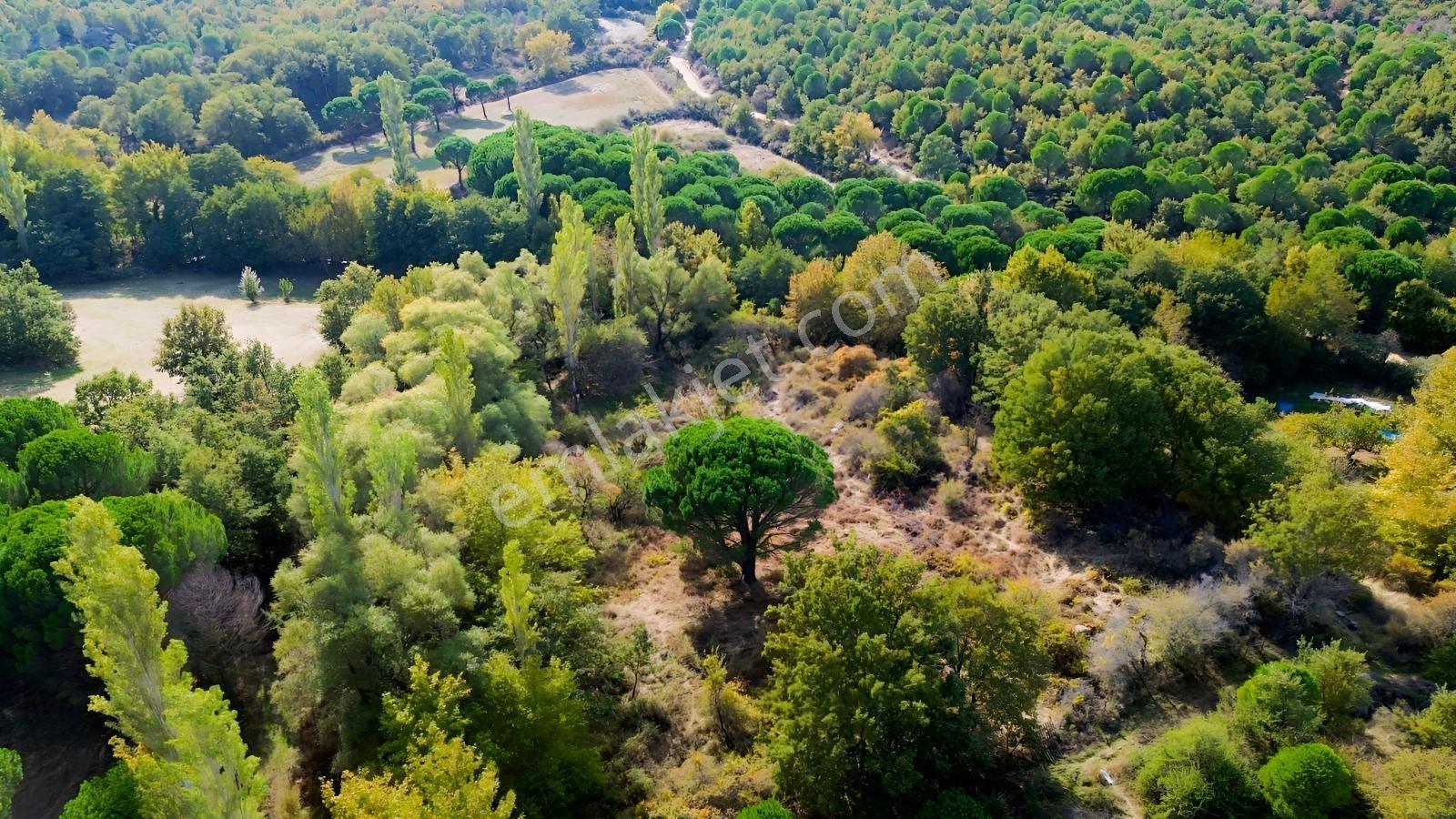 Bergama Kozak Yaylası Kıranlı Mah.'de 3.795m2 Satılık Tarla — fotoğraf 16