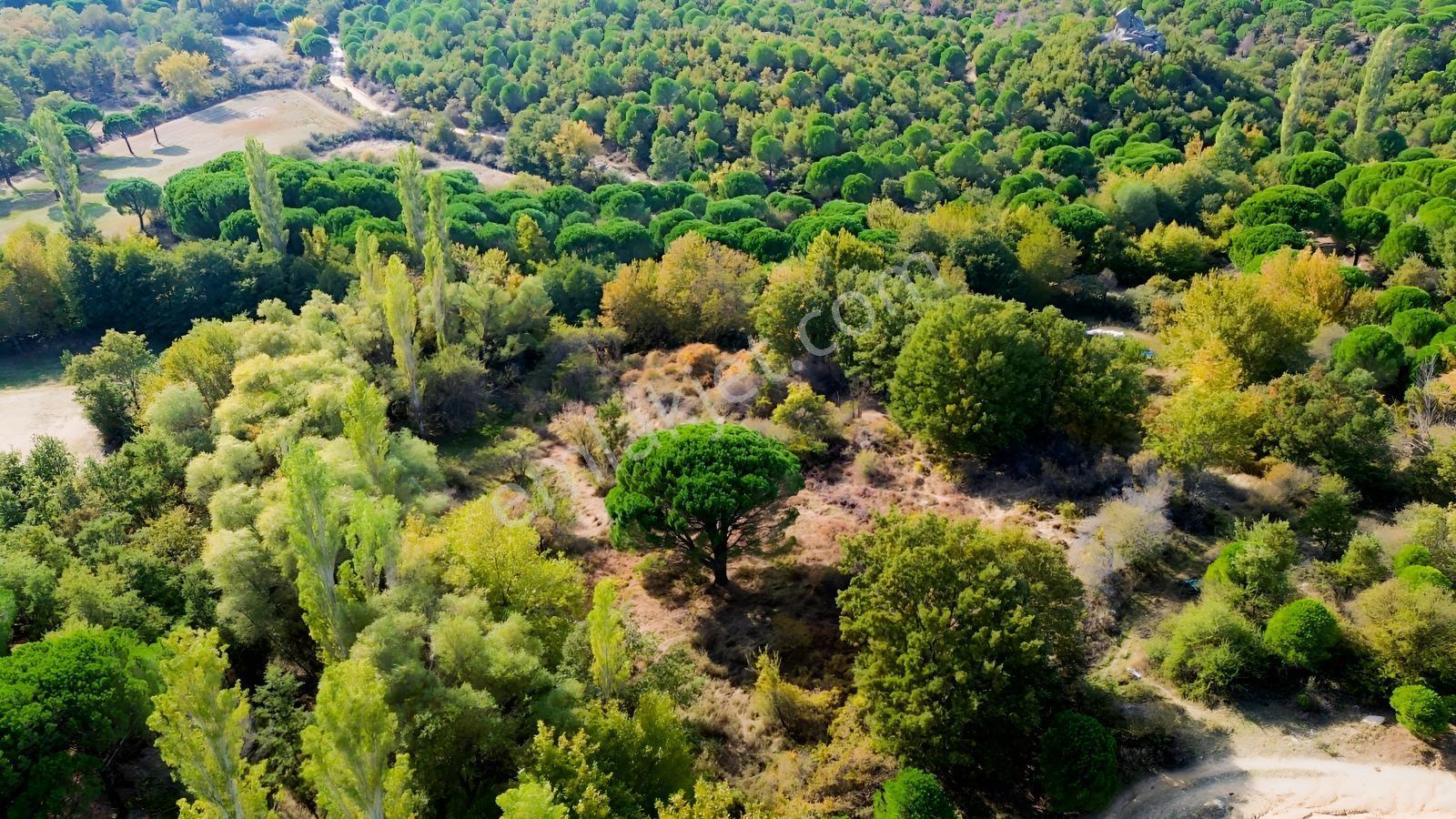 Bergama Kozak Yaylası Kıranlı Mah.'de 3.795m2 Satılık Tarla — fotoğraf 17