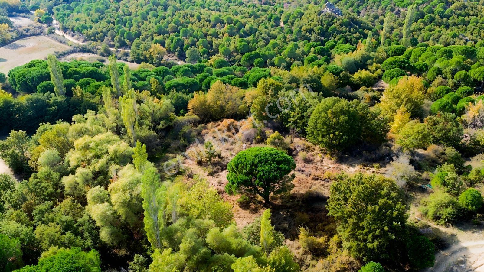 Bergama Kozak Yaylası Kıranlı Mah.'de 3.795m2 Satılık Tarla — fotoğraf 18
