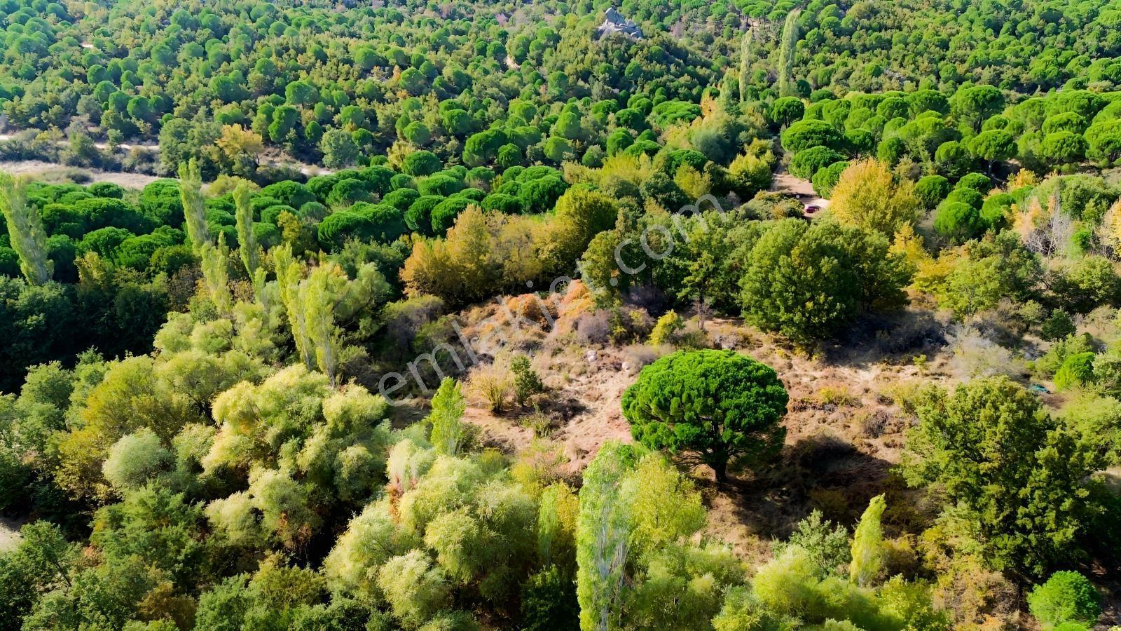 Bergama Kozak Yaylası Kıranlı Mah.'de 3.795m2 Satılık Tarla — fotoğraf 19