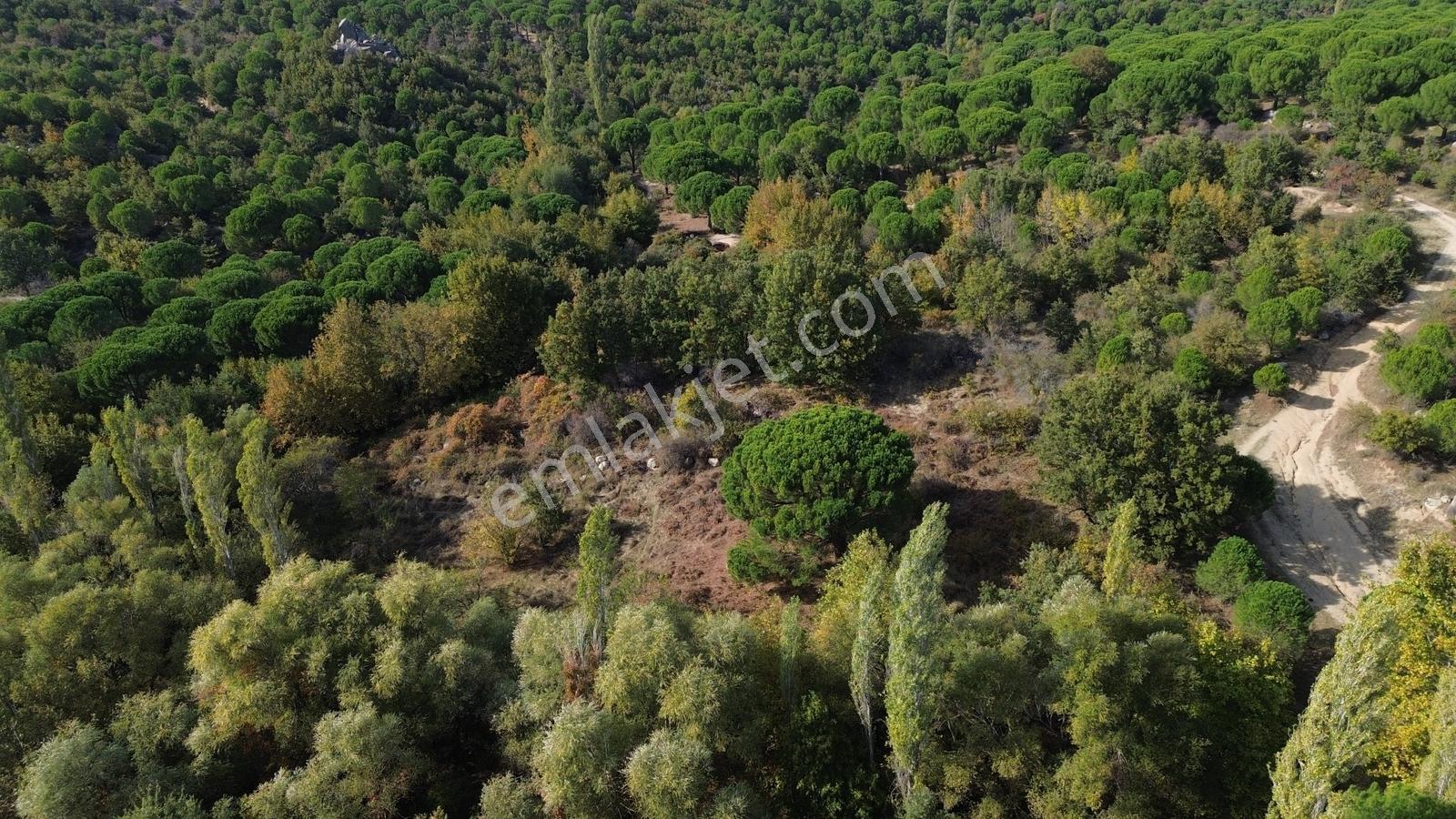 Bergama Kozak Yaylası Kıranlı Mah.'de 3.795m2 Satılık Tarla — fotoğraf 20