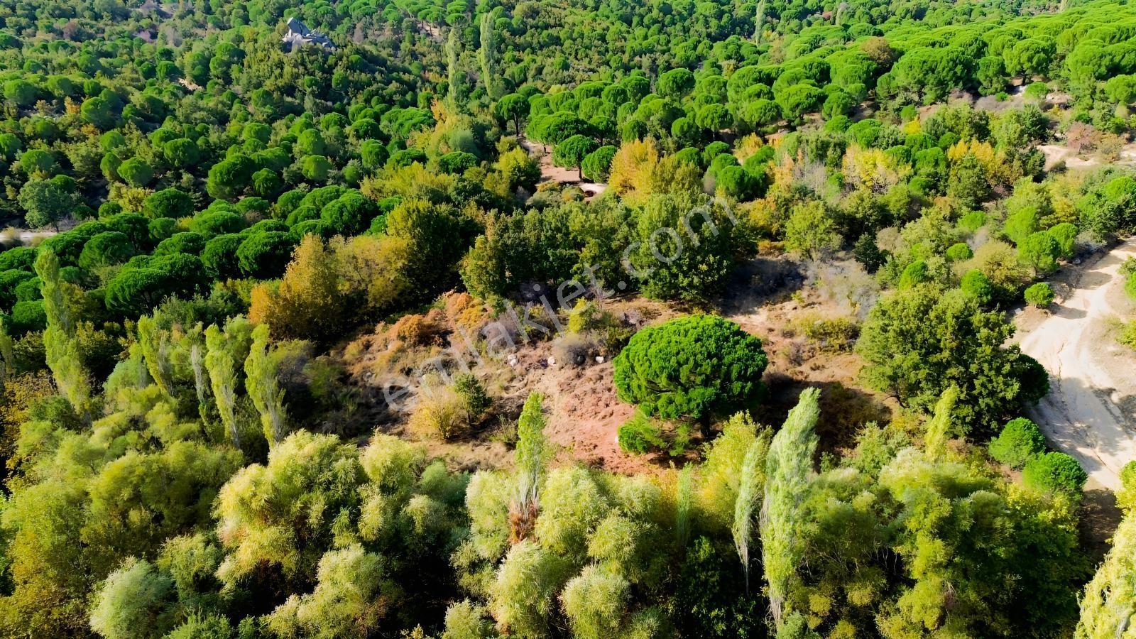 Bergama Kozak Yaylası Kıranlı Mah.'de 3.795m2 Satılık Tarla — fotoğraf 21