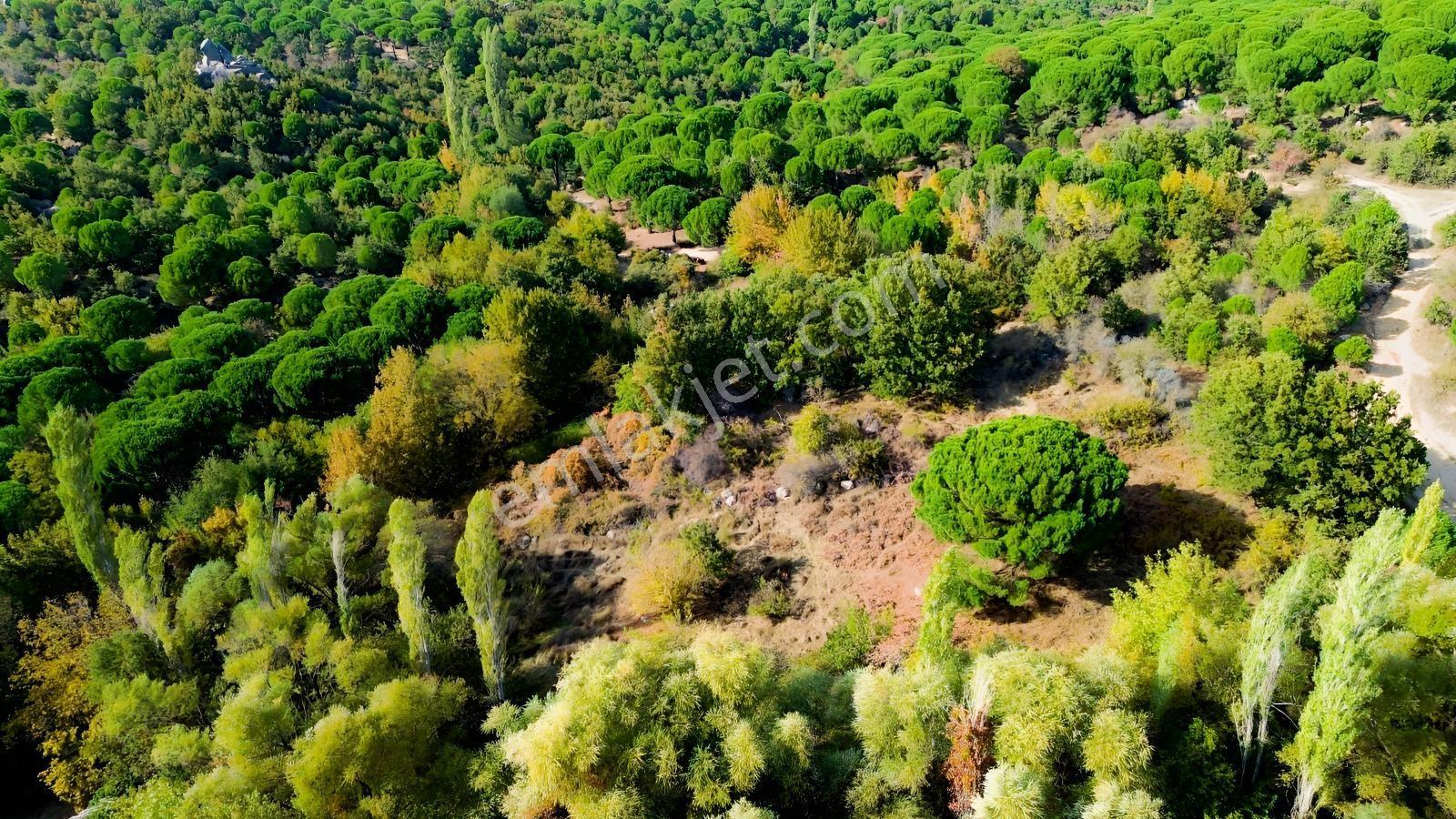 Bergama Kozak Yaylası Kıranlı Mah.'de 3.795m2 Satılık Tarla — fotoğraf 22