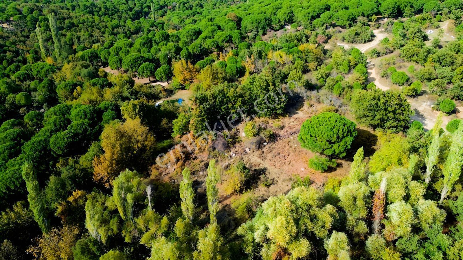 Bergama Kozak Yaylası Kıranlı Mah.'de 3.795m2 Satılık Tarla — fotoğraf 23