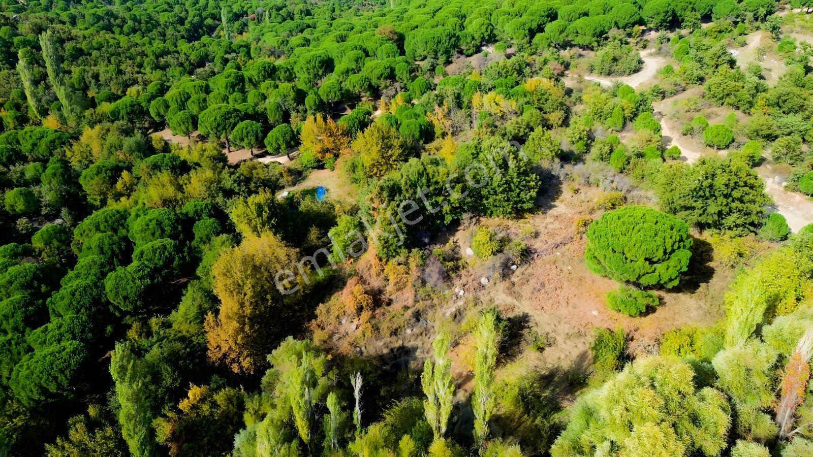 Bergama Kozak Yaylası Kıranlı Mah.'de 3.795m2 Satılık Tarla — fotoğraf 24