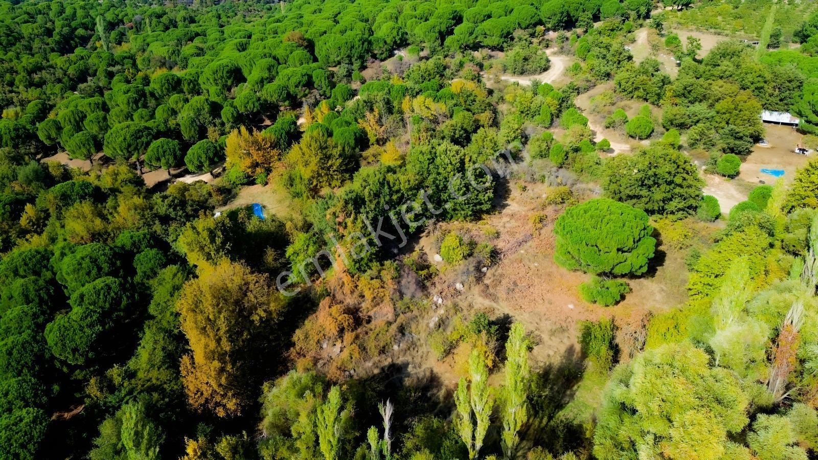 Bergama Kozak Yaylası Kıranlı Mah.'de 3.795m2 Satılık Tarla — fotoğraf 25