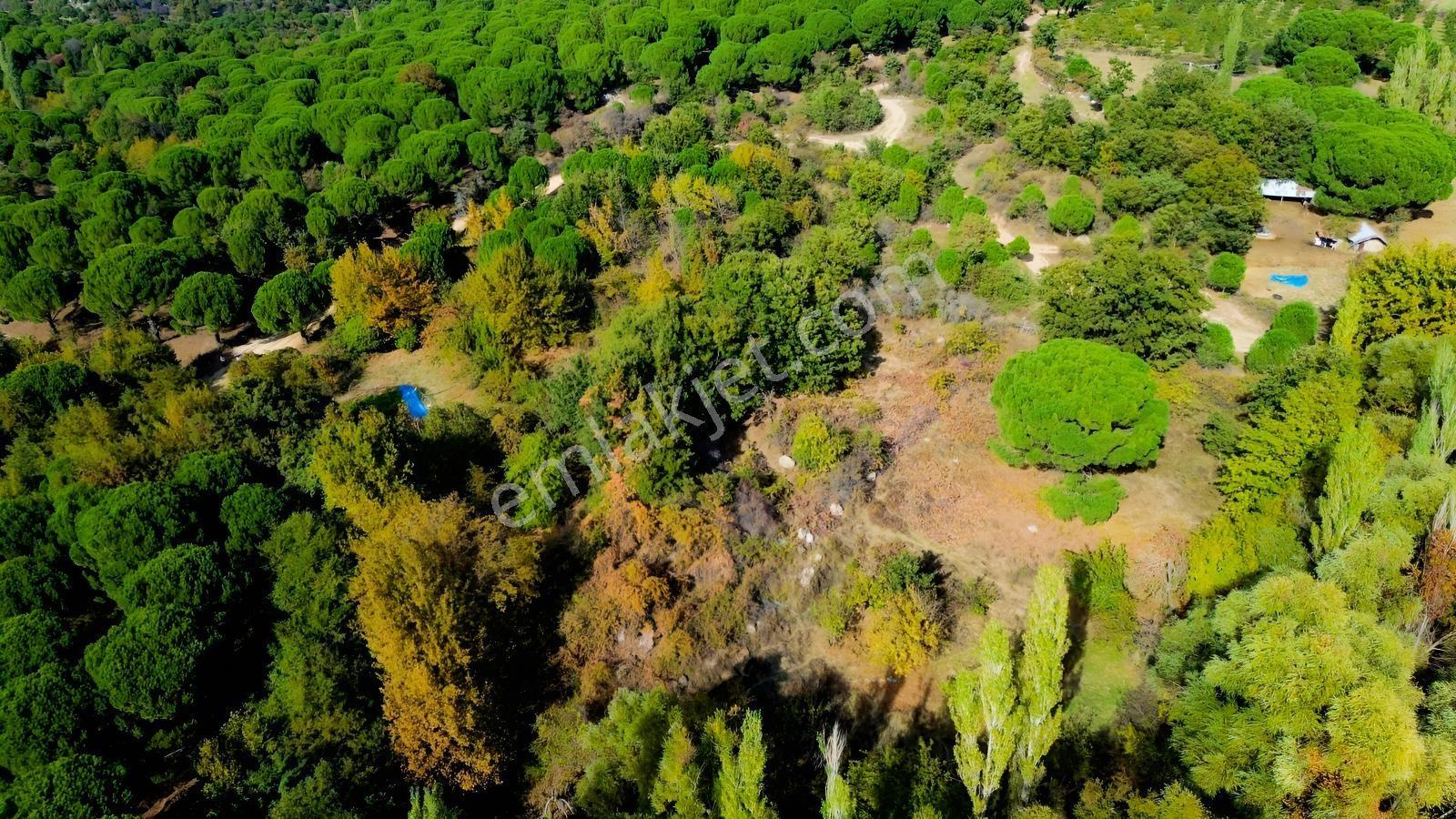Bergama Kozak Yaylası Kıranlı Mah.'de 3.795m2 Satılık Tarla — fotoğraf 26