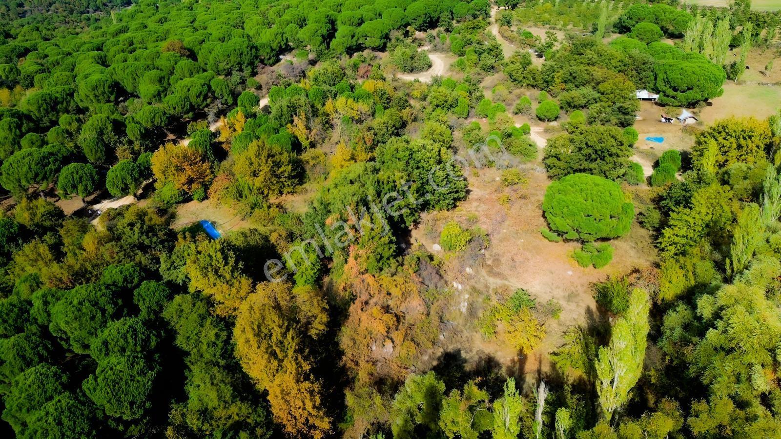 Bergama Kozak Yaylası Kıranlı Mah.'de 3.795m2 Satılık Tarla — fotoğraf 27