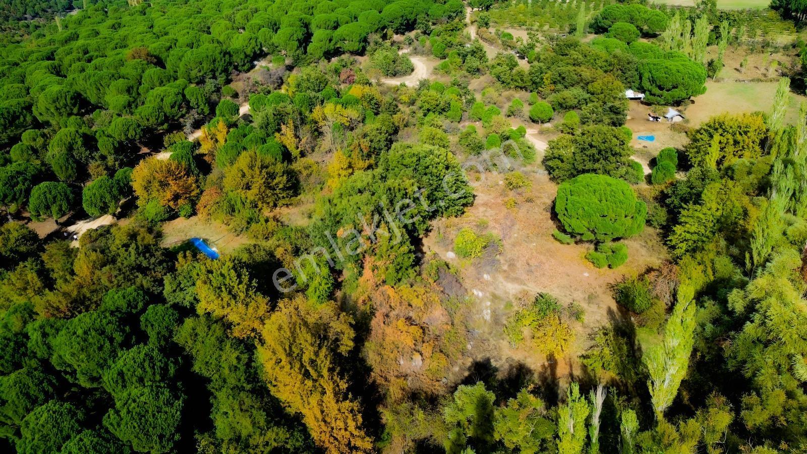 Bergama Kozak Yaylası Kıranlı Mah.'de 3.795m2 Satılık Tarla — fotoğraf 28