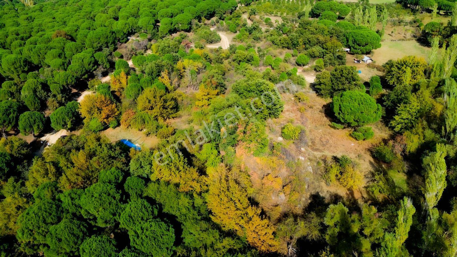 Bergama Kozak Yaylası Kıranlı Mah.'de 3.795m2 Satılık Tarla — fotoğraf 29