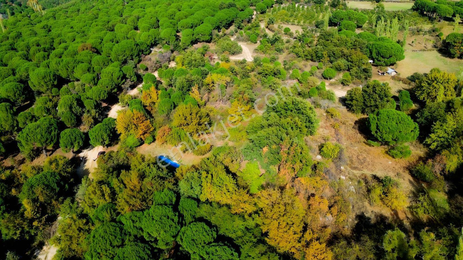 Bergama Kozak Yaylası Kıranlı Mah.'de 3.795m2 Satılık Tarla — fotoğraf 30