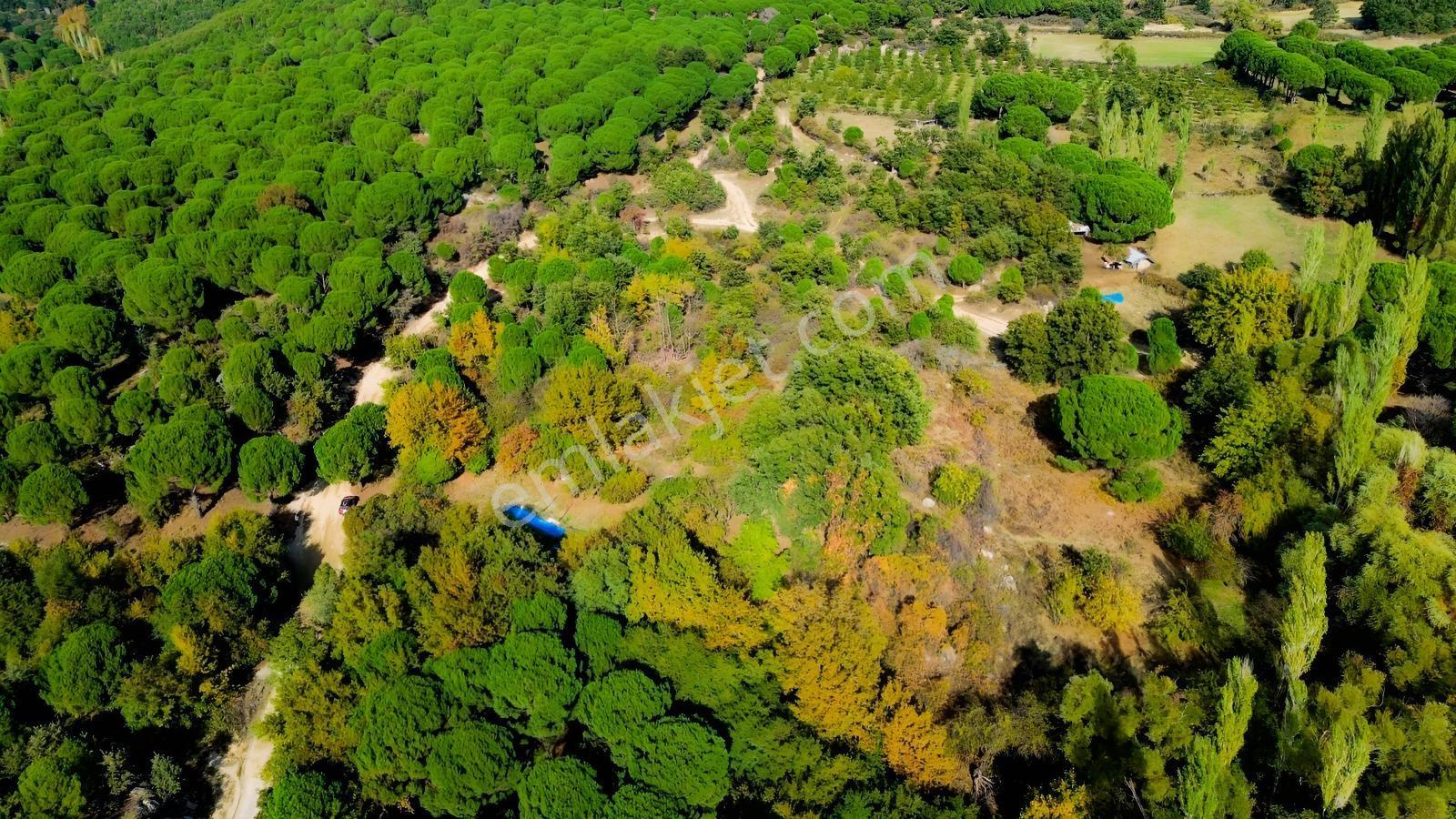 Bergama Kozak Yaylası Kıranlı Mah.'de 3.795m2 Satılık Tarla — fotoğraf 31