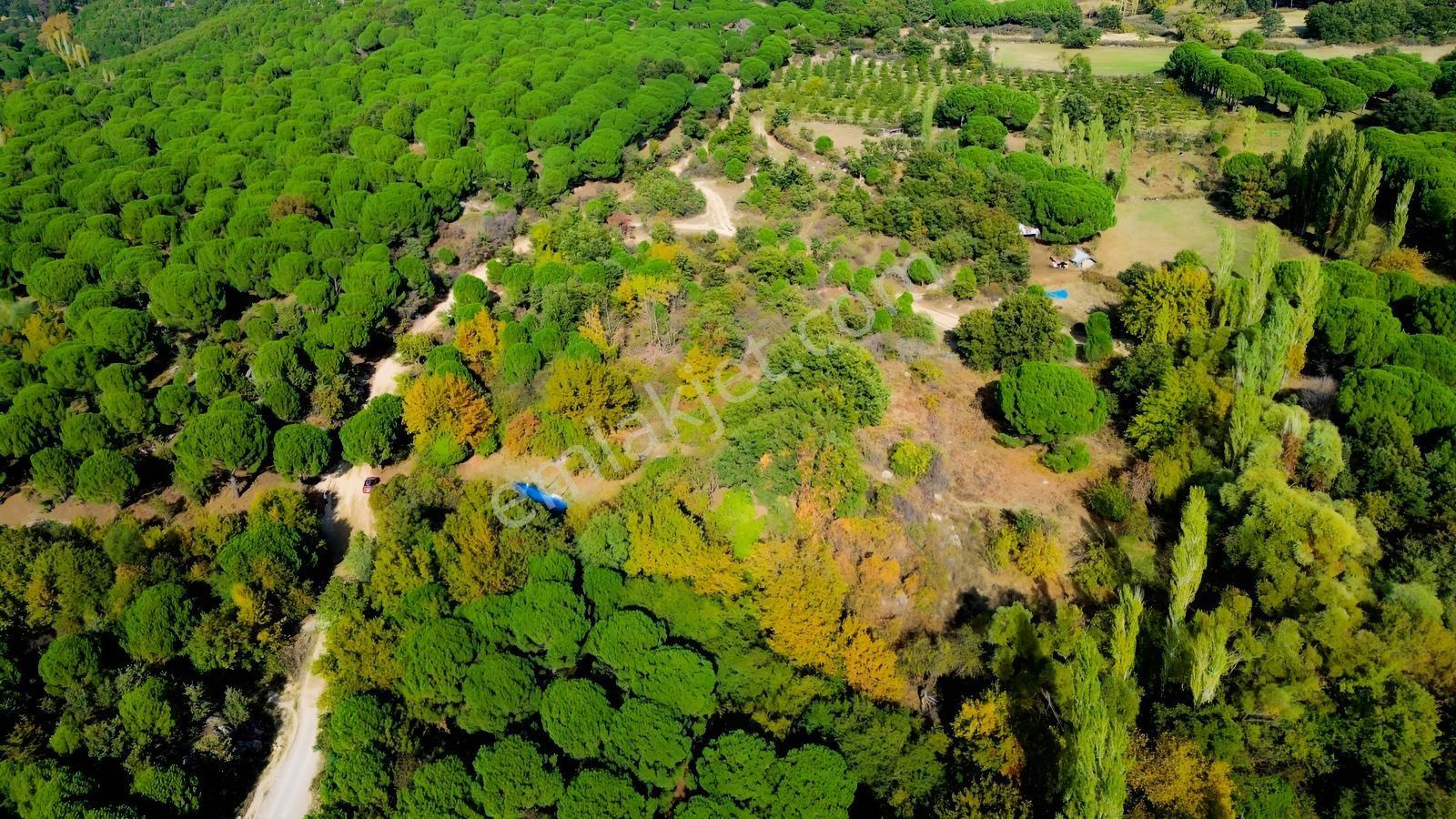 Bergama Kozak Yaylası Kıranlı Mah.'de 3.795m2 Satılık Tarla — fotoğraf 32