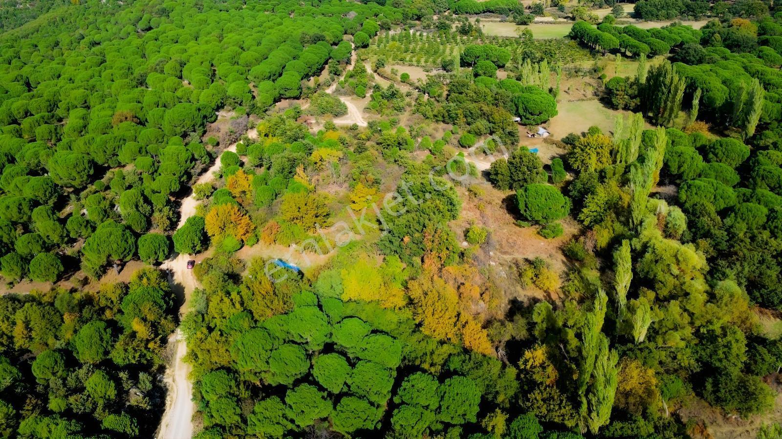 Bergama Kozak Yaylası Kıranlı Mah.'de 3.795m2 Satılık Tarla — fotoğraf 33