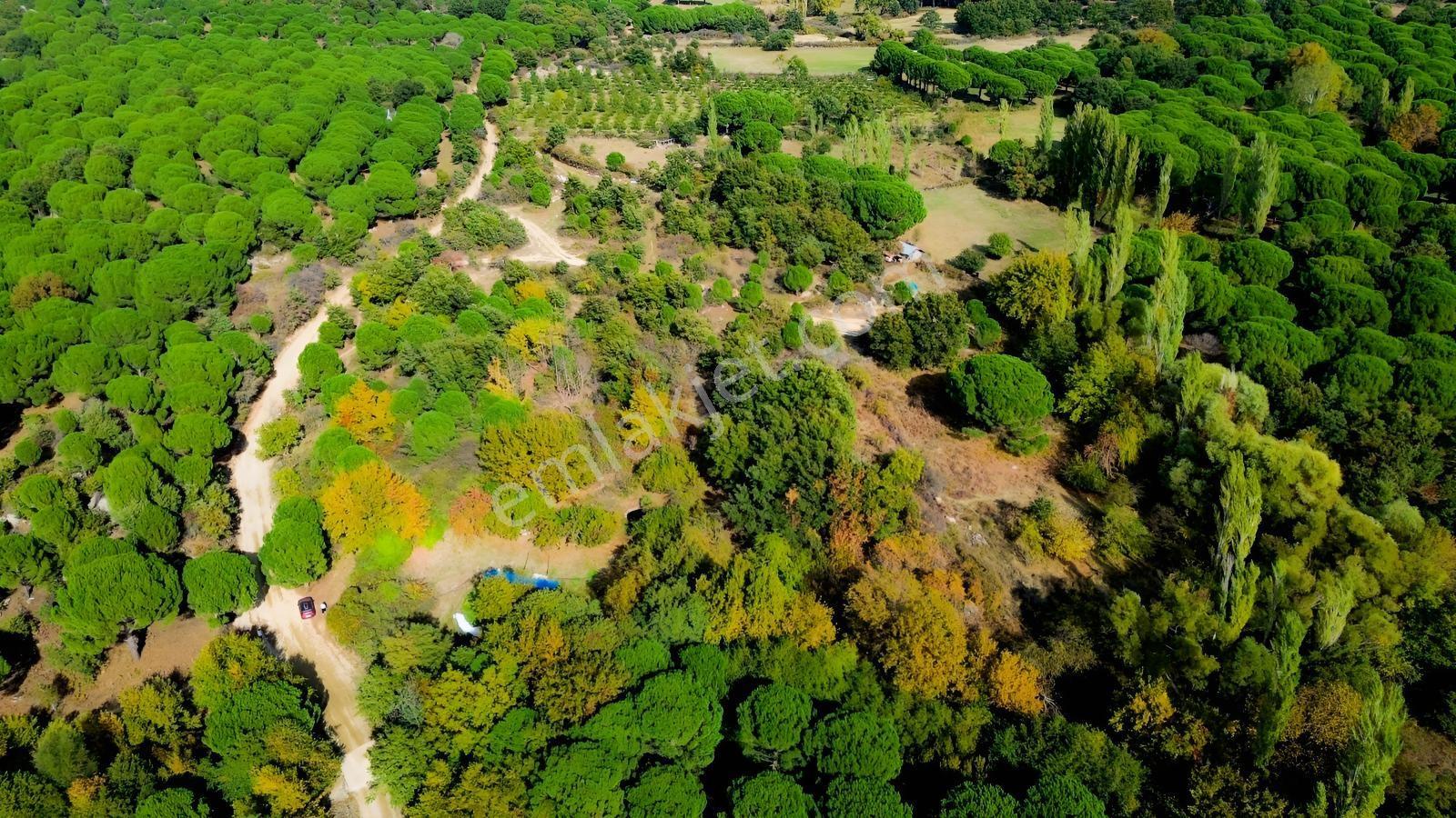 Bergama Kozak Yaylası Kıranlı Mah.'de 3.795m2 Satılık Tarla — fotoğraf 34