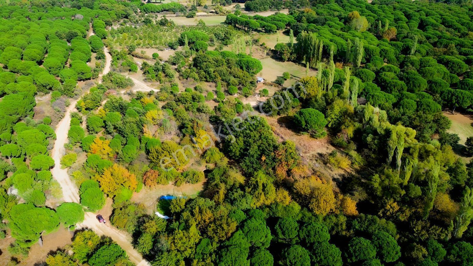 Bergama Kozak Yaylası Kıranlı Mah.'de 3.795m2 Satılık Tarla — fotoğraf 35