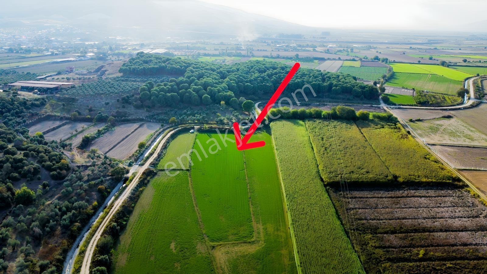 Aydın Efeler Kırıklarda Dönüm Fiyatı Sadece 470.000 Tl! — fotoğraf 4