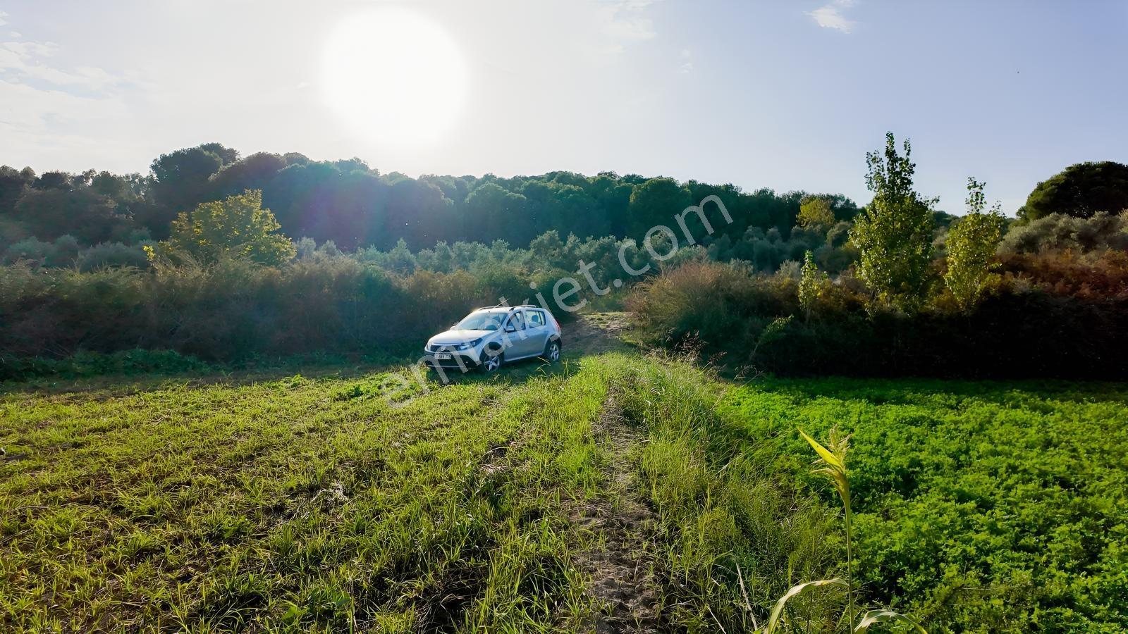 Aydın Efeler Kırıklarda Dönüm Fiyatı Sadece 470.000 Tl! — fotoğraf 13