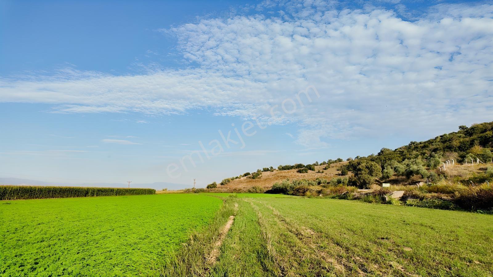 Aydın Efeler Kırıklarda Dönüm Fiyatı Sadece 470.000 Tl! — fotoğraf 15
